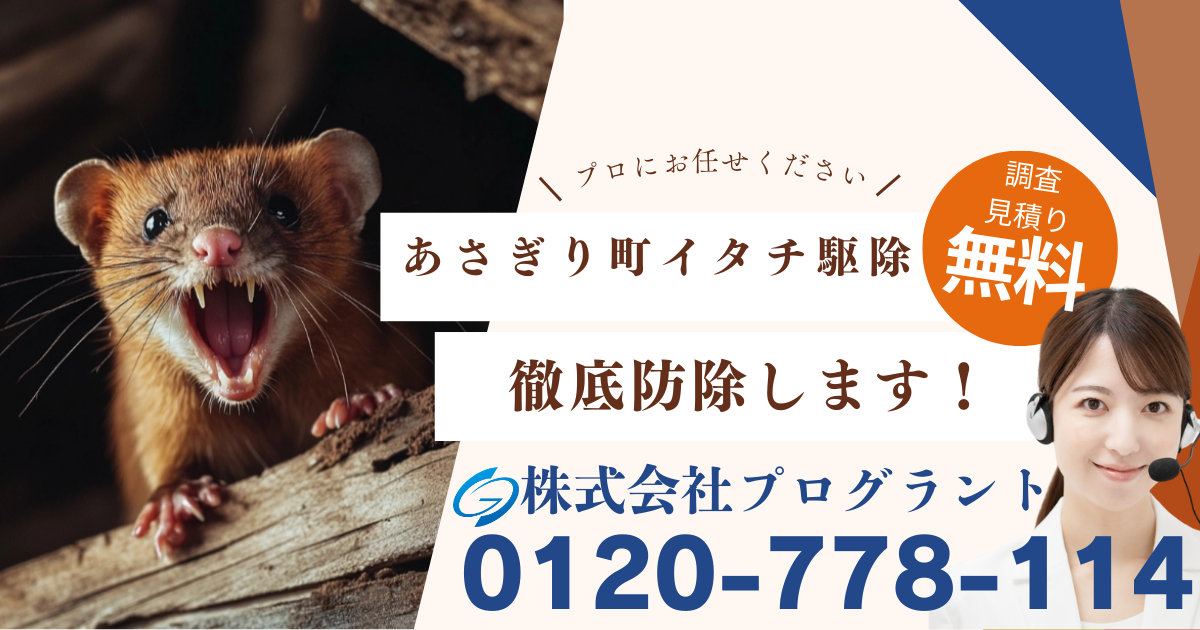 球磨郡あさぎり町　イタチ駆除　プログラント